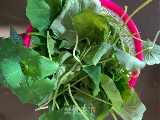 Cold Nasturtium recipe