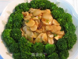 Pleurotus Eryngii in Xo Sauce recipe