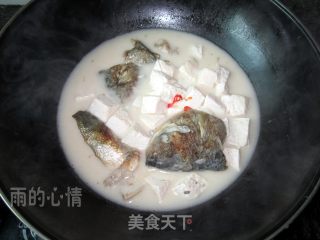 Silver Carp Head Stewed Tofu recipe