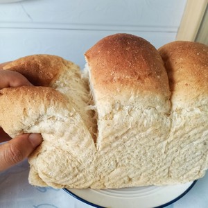 100% Whole Wheat Toast (no Sugar and No Oil) recipe