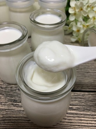 Homemade Sugar-free Yogurt recipe