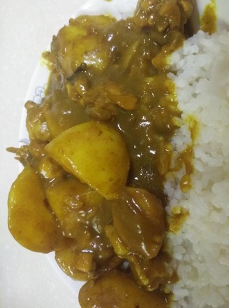 Malay Chicken Curry recipe