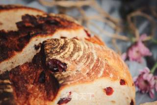 Rye Cranberry Soft European recipe