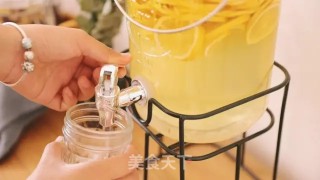 Lemon Vinegar recipe