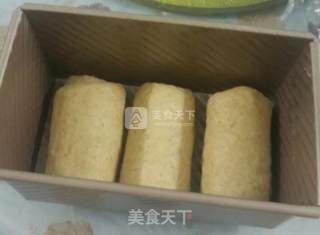 Whole Wheat Toast recipe