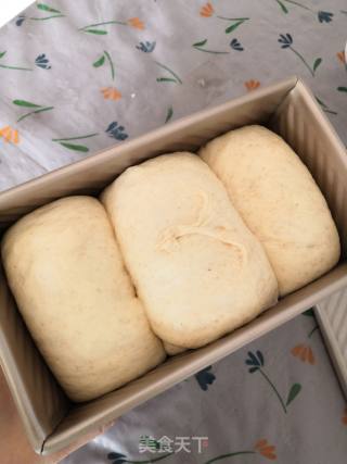 Whole Wheat Toast recipe
