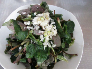 Houttuynia Cordata recipe