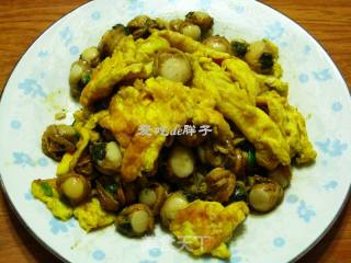 Scrambled Stupid Eggs with Scallop Meat recipe