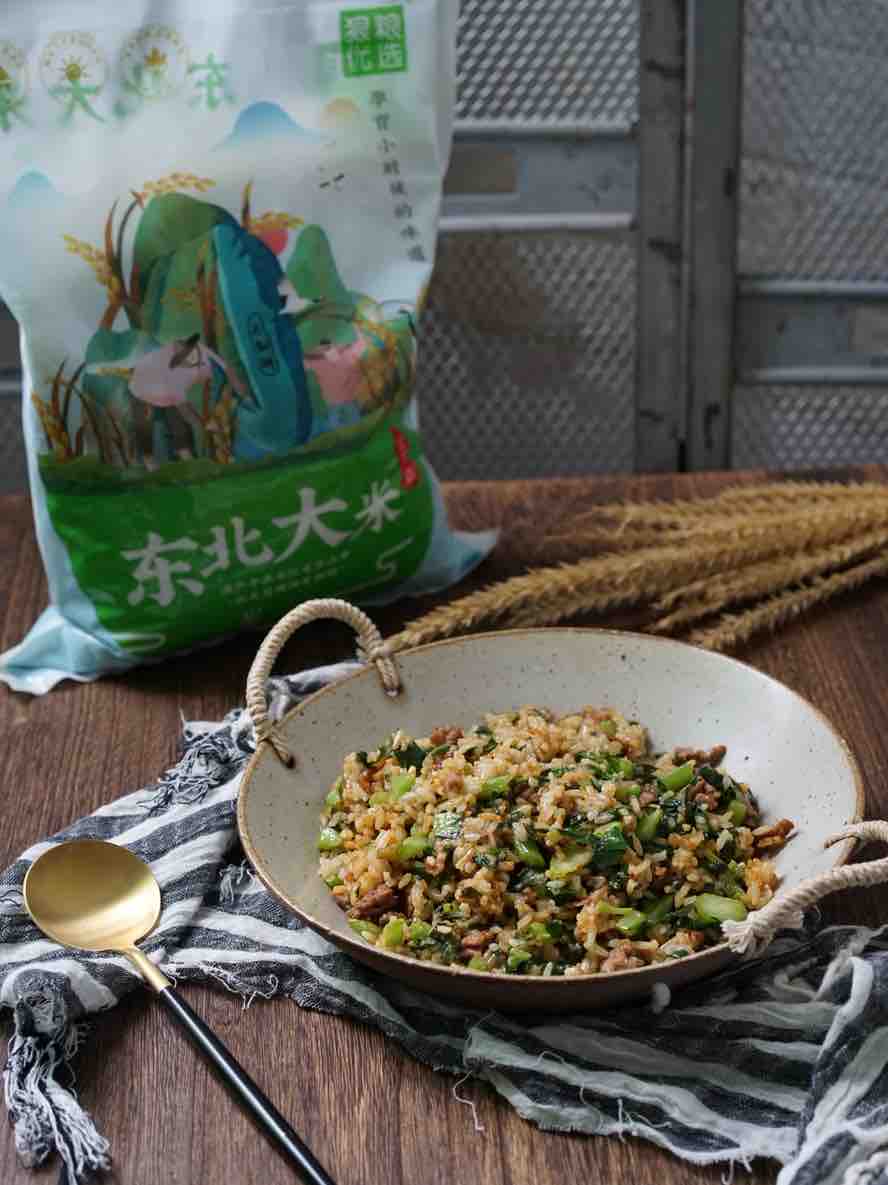 Kale Beef Fried Rice