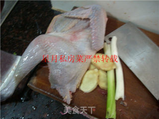 Xingyue Private Kitchen-white Chicken recipe