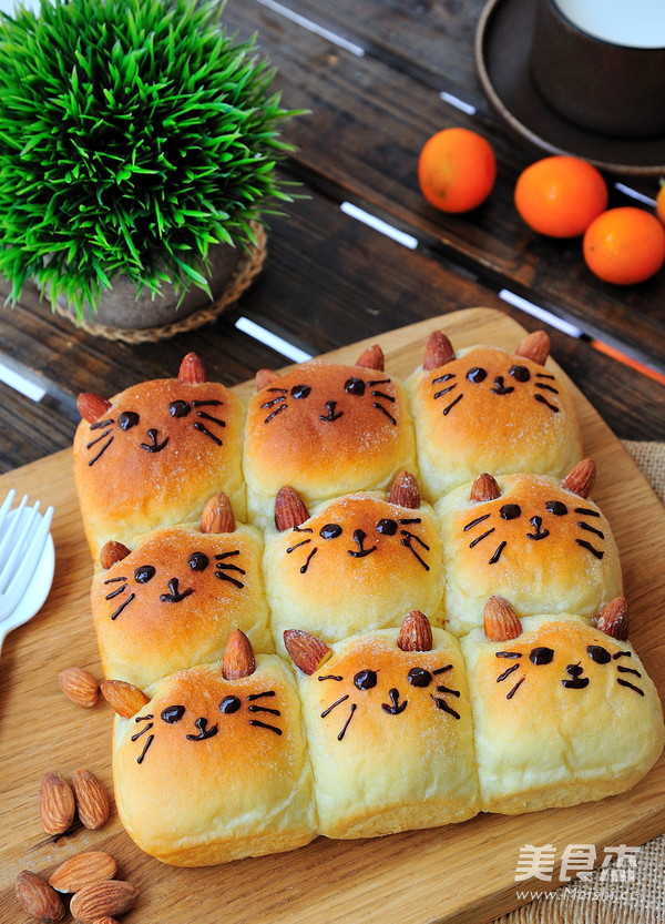 Kitten Squeezes Bread recipe