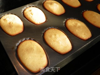 Tomato Flavored Madeleine recipe