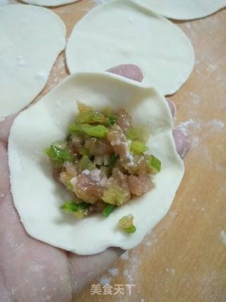 Celery Pork Dumplings recipe