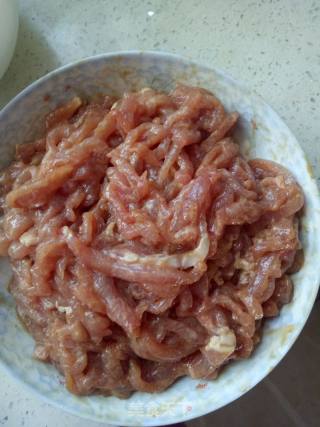 Shredded Pork in Beijing Sauce (simplified Version) recipe