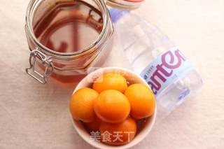 Honey Kumquat Juice of Dongling Wall Breaker recipe