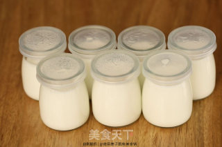 Homemade No Added Yogurt recipe