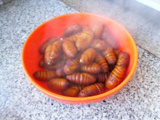 Dry Stir-fried Silkworm Pupa recipe