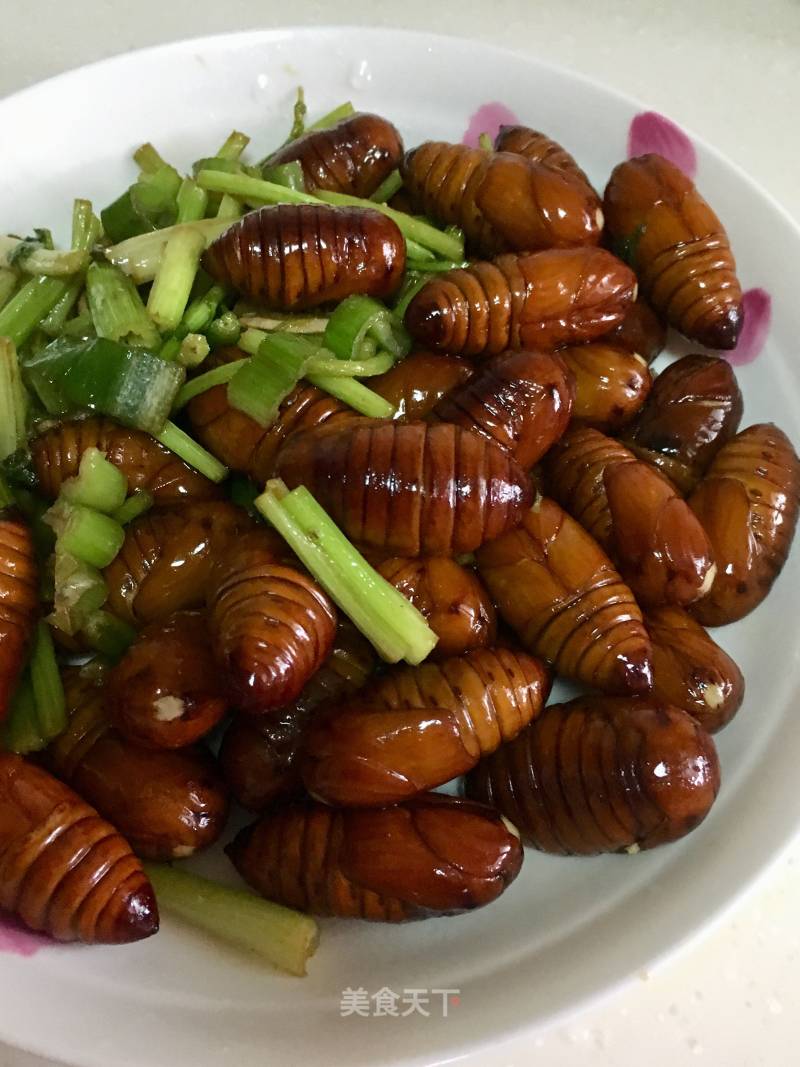 Stir-fried Silkworm Chrysalis recipe