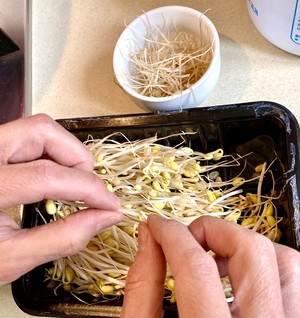 Stir-fried King: Bean Sprouts Pine recipe