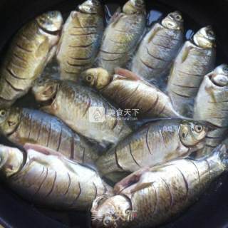 Canned Wild Crucian Carp recipe