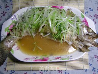 Steamed Sea Bass with Spicy Fermented Bean Curd recipe