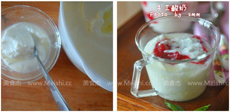 Handmade Yogurt recipe