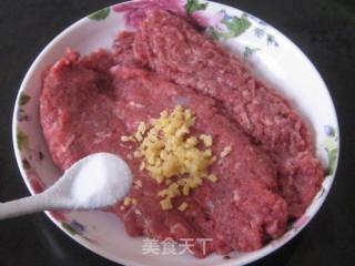 Lamb Potstickers with Green Onion recipe