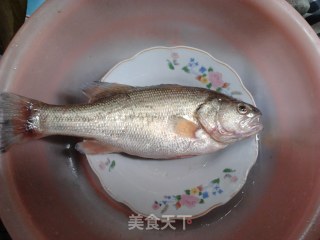 Steamed Sea Bass in Drum Sauce recipe