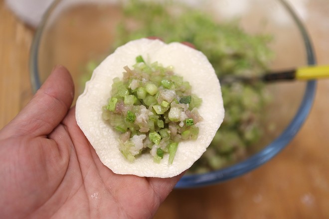 Pork and Cucumber Dumplings recipe