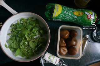 Salted Lime Mojito recipe