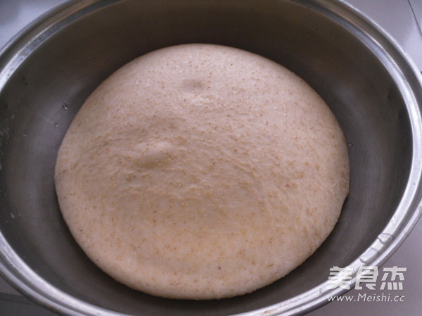 Whole Wheat Bread recipe