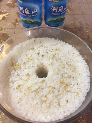 Fermented Rice recipe