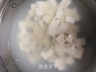 Braised Tofu with Bean Paste recipe