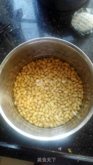 Homemade Tofu Brain ~ Fully Automatic recipe