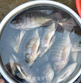Cured Fish recipe