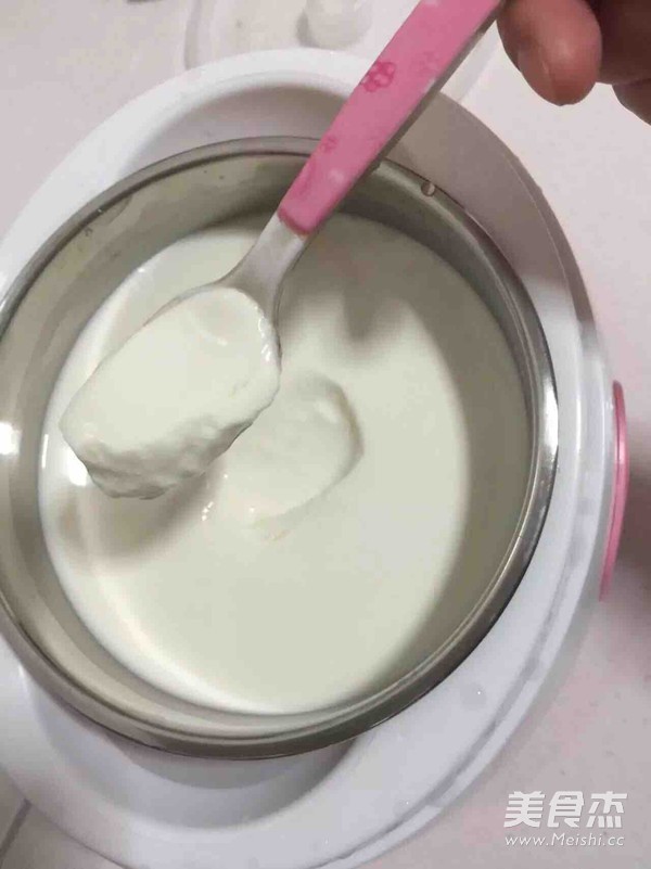 Homemade Delicious Yogurt recipe