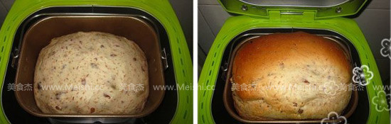 Whole Wheat Toast recipe