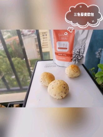 Tricolor Quinoa Ou Bao recipe