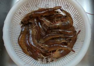 "home Cooking" Brine Shrimp recipe