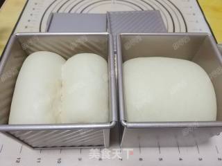 Water Cube Sponge Toast recipe
