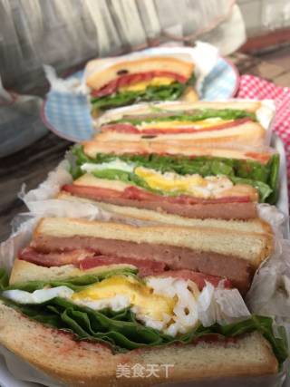 Quick Pocket Sandwich recipe