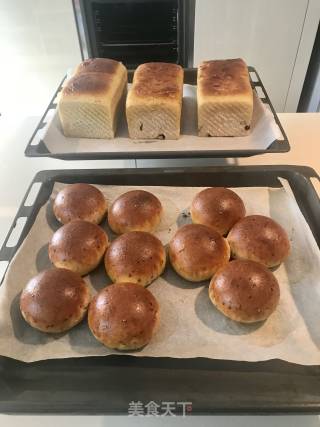 Sesame Meal Buns recipe