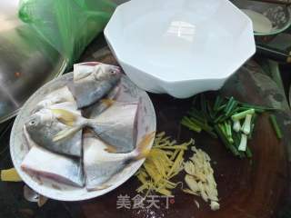 Fresh Sea Pomfret Soup recipe