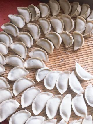 Beef Fennel Dumplings recipe