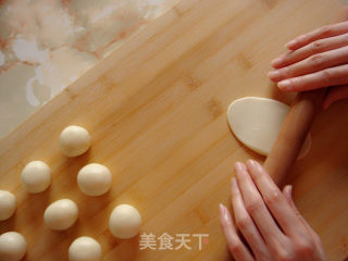 【china】creative Chinese White-crust Pastry: Red Plum and Primula recipe