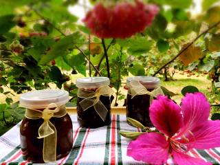 Red Wine Raisin Jam recipe