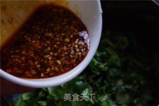 Coriander recipe