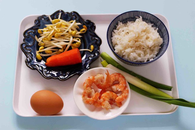 Fried Rice with Shrimp, Bean Sprouts and Egg recipe