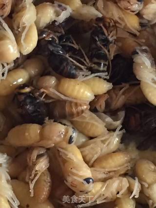 Crispy and Delicious Drooling Fried Bee Pupae recipe