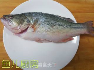 Bass in Tomato Sauce──private Cuisine in Yuer Kitchen recipe